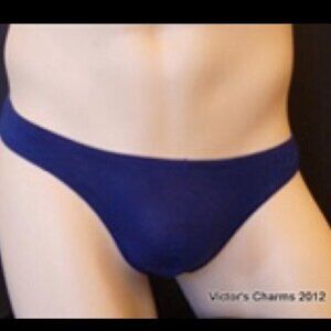 8/$40 Victor's Charms Navy Blue Soft Bikini brief Sz L